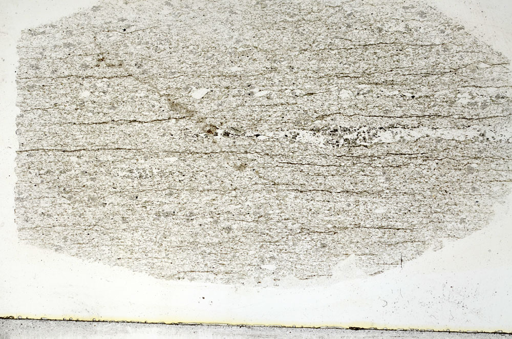 Plane Polarized, S88879