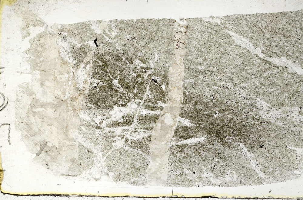 Plane Polarized, S88880