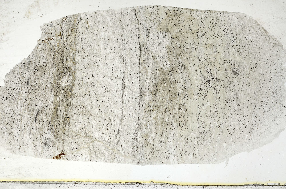 Plane Polarized, S88882