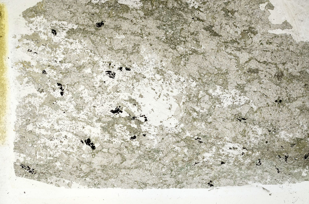 Plane Polarized, S88888