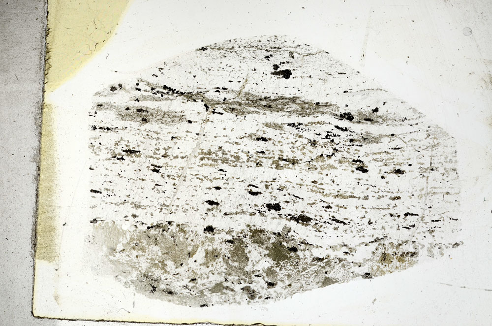 Plane Polarized, S88889