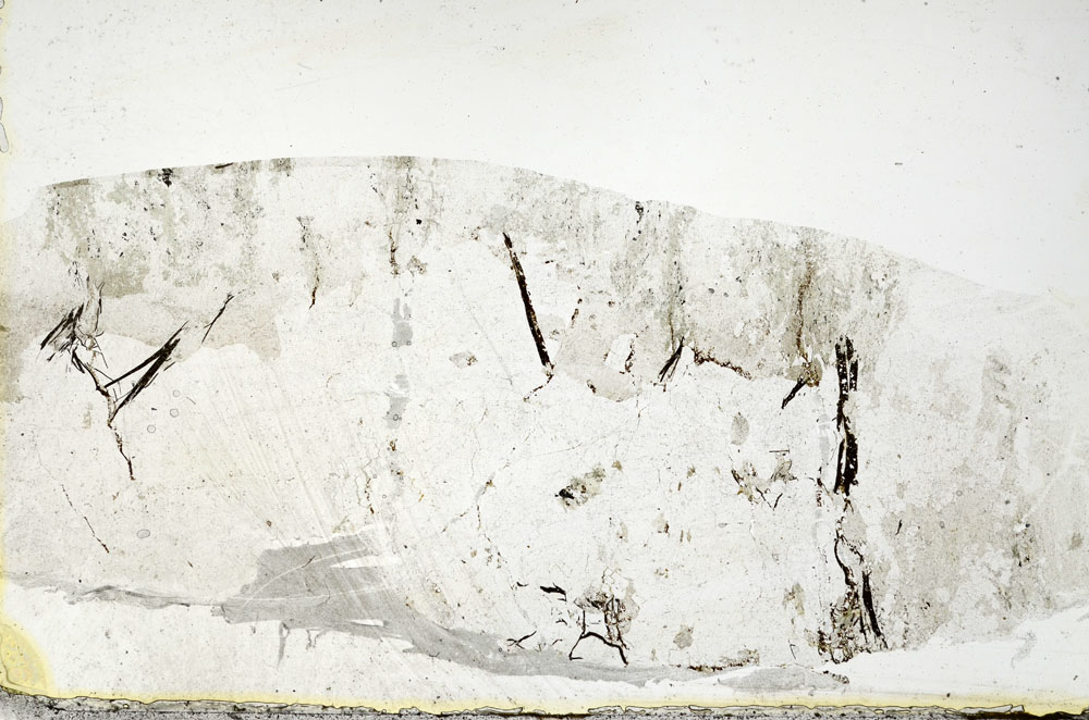 Plane Polarized, S88892