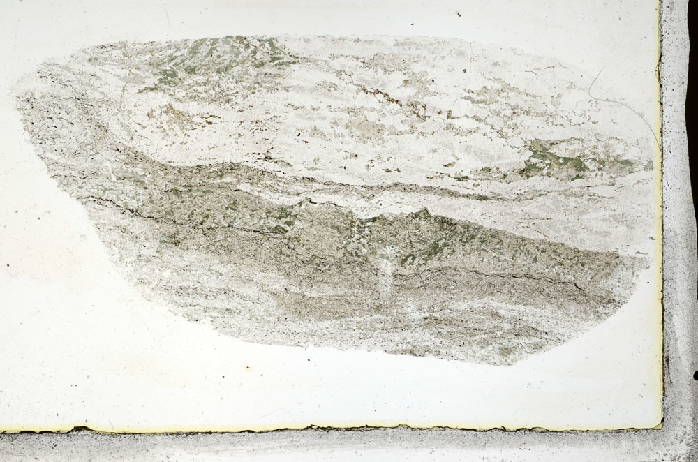 Plane Polarized, S88896