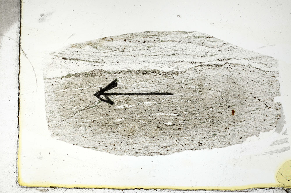 Plane Polarized, S88897