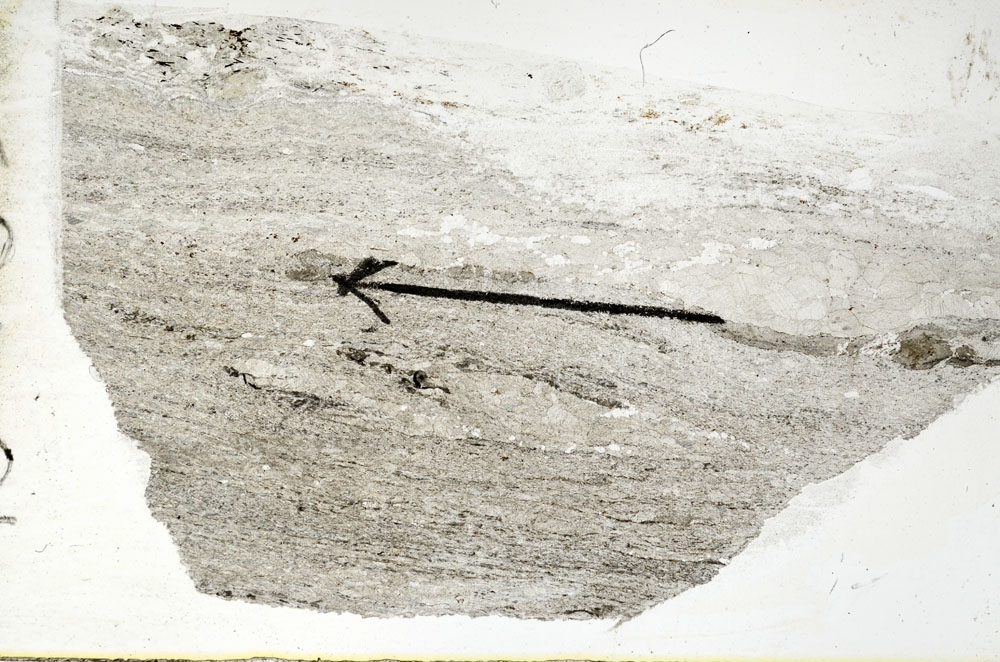 Plane Polarized, S88901