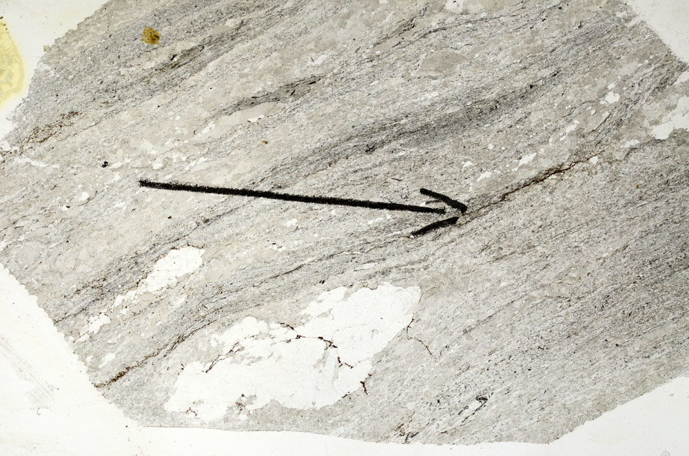 Plane Polarized, S88902