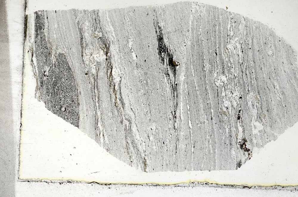 Plane Polarized, S88905