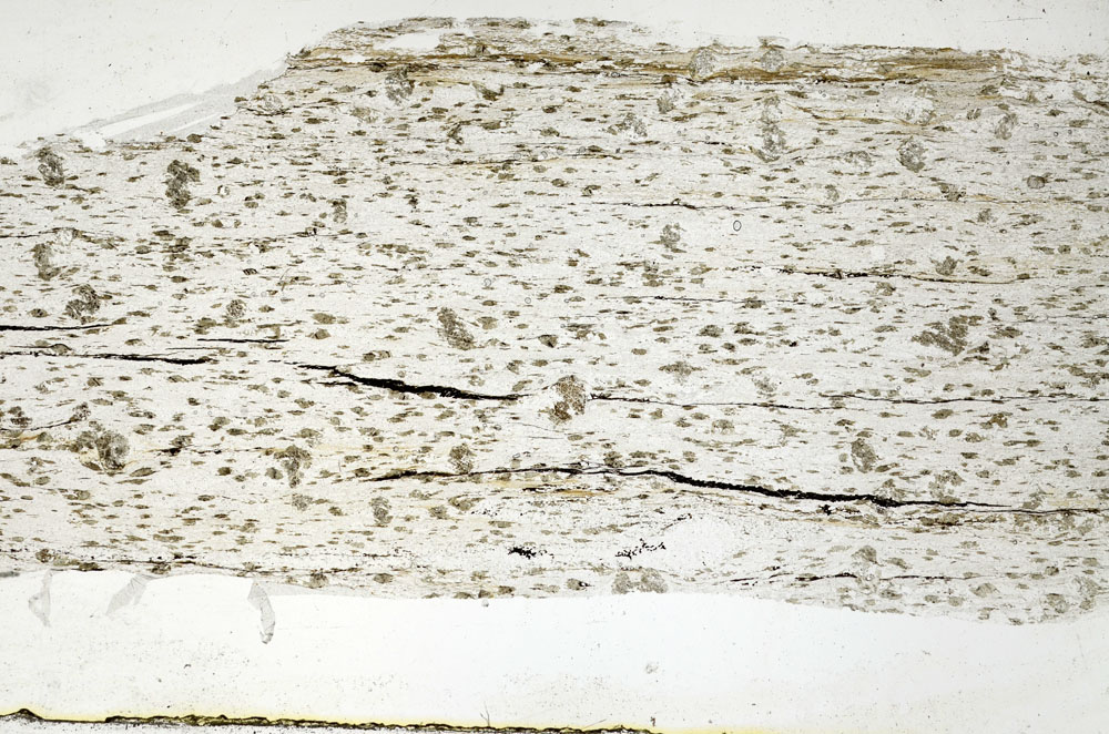 Plane Polarized, S88910