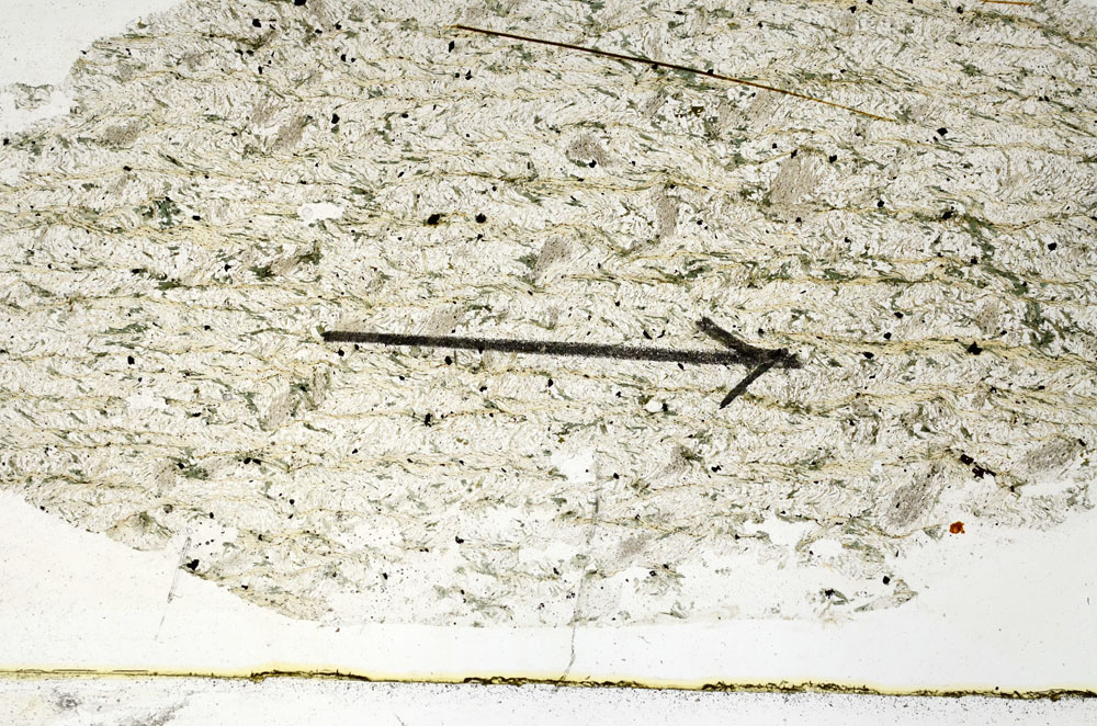 Plane Polarized, S88916