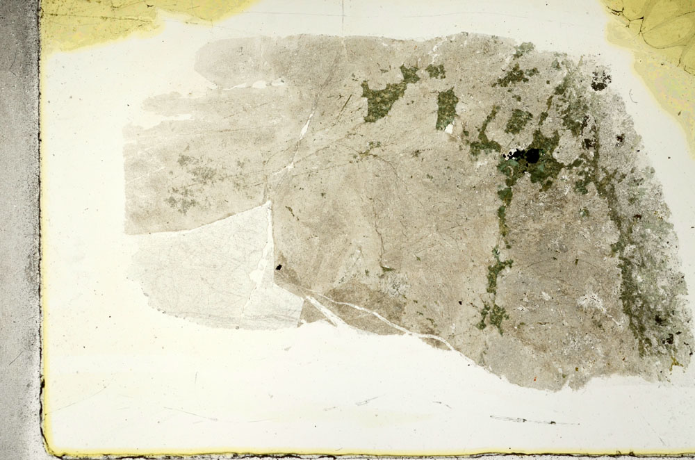 Plane Polarized, S88923