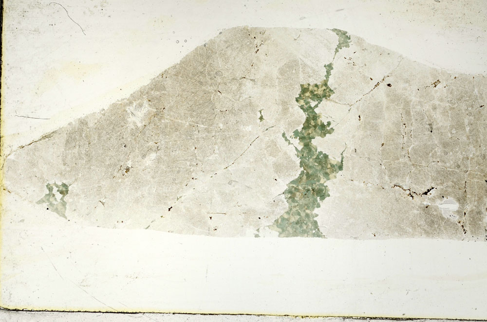 Plane Polarized, S88927
