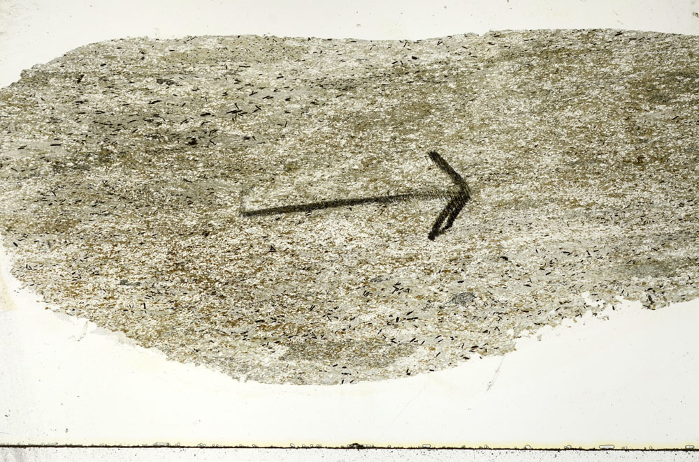 Plane Polarized, S88931