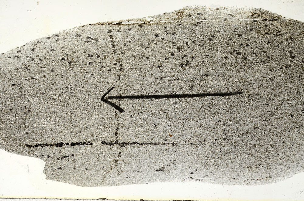 Plane Polarized, S88933