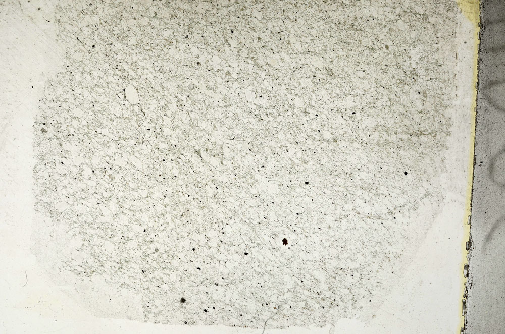 Plane Polarized, S88947