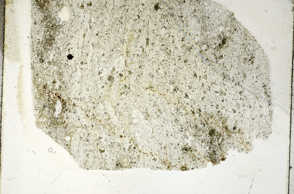 Plane Polarized, S88952
