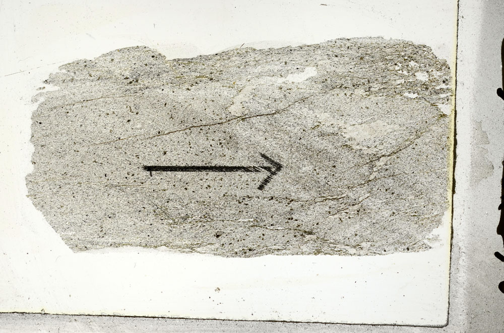 Plane Polarized, S88961