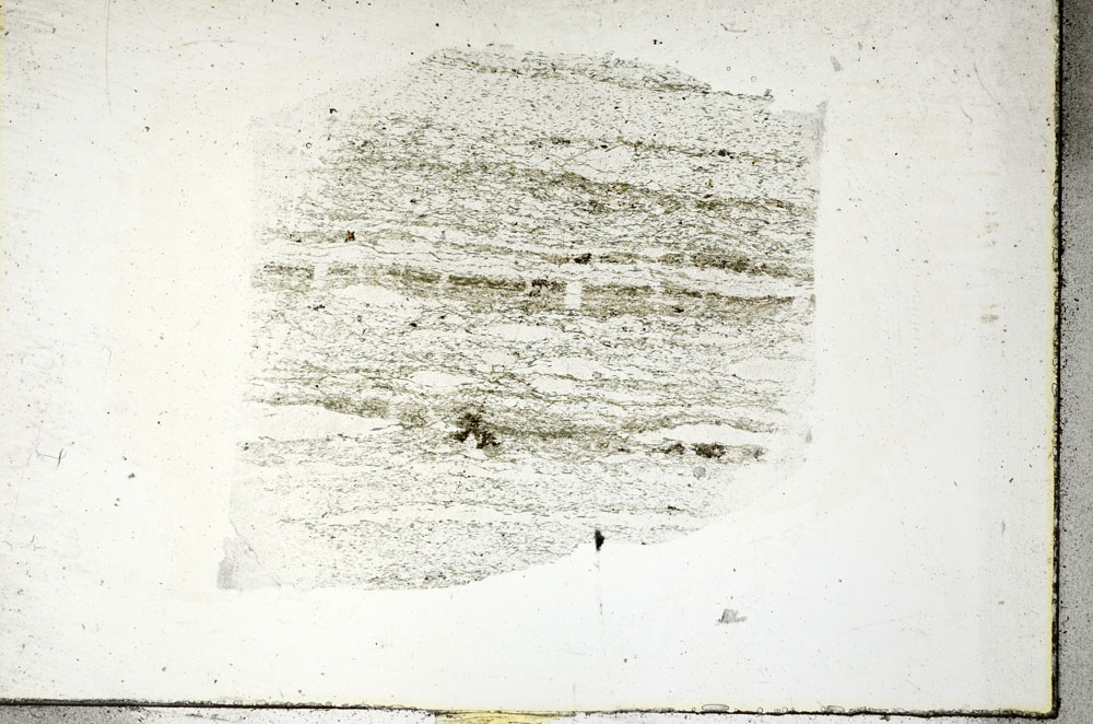 Plane Polarized, S88962