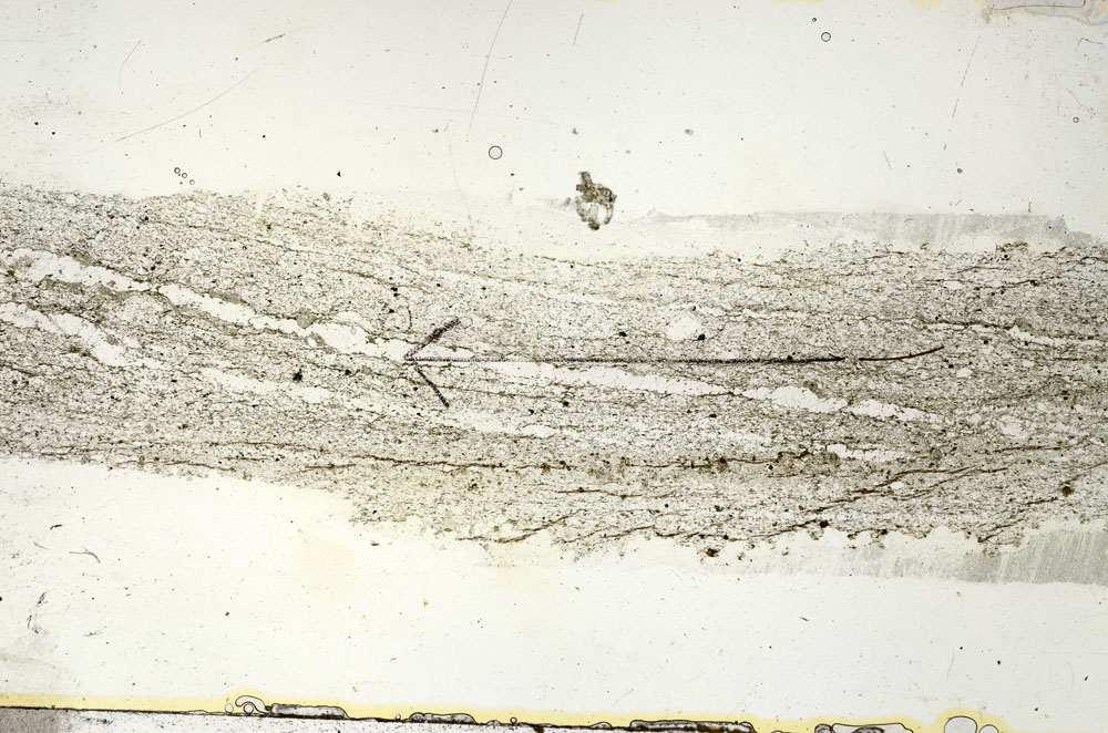 Plane Polarized, S88969