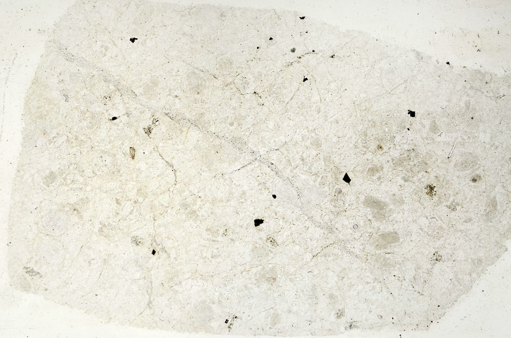 Plane Polarized, S88978