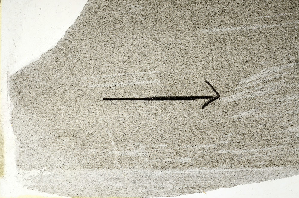 Plane Polarized, S88981