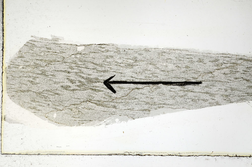 Plane Polarized, S88982