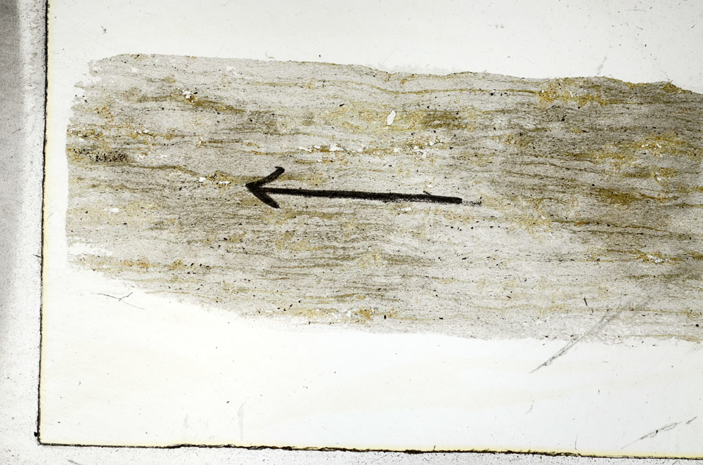 Plane Polarized, S88985