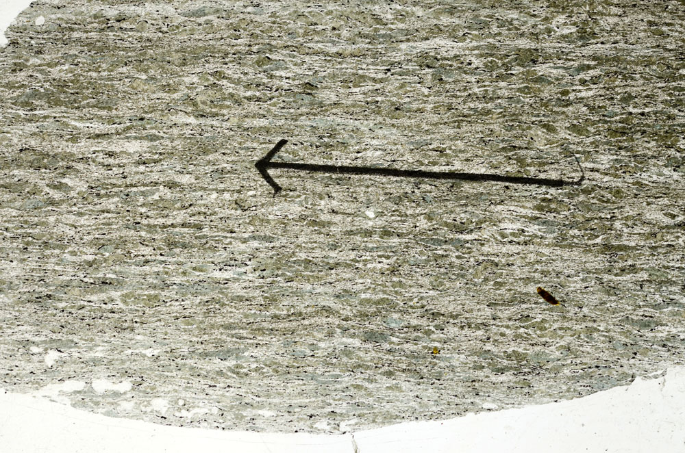 Plane Polarized, S88986
