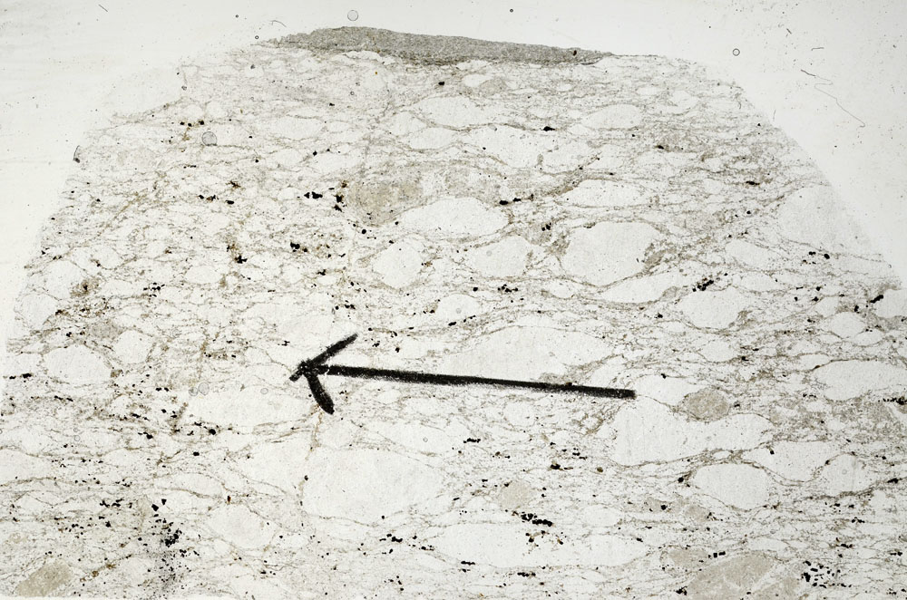 Plane Polarized, S88989