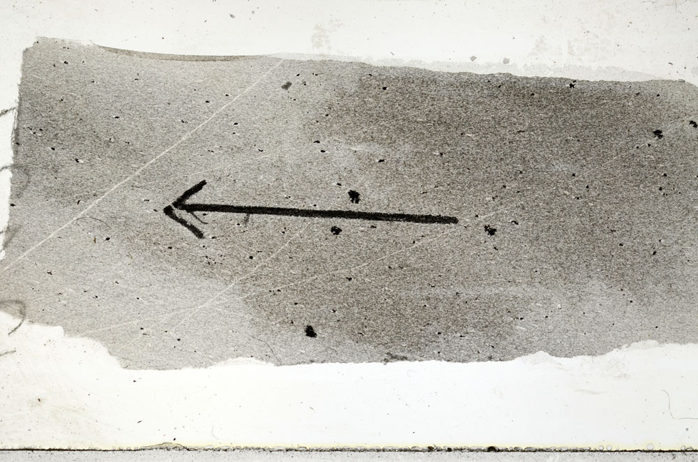 Plane Polarized, S88994