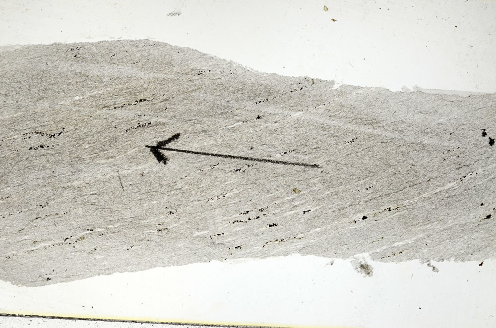 Plane Polarized, S88995