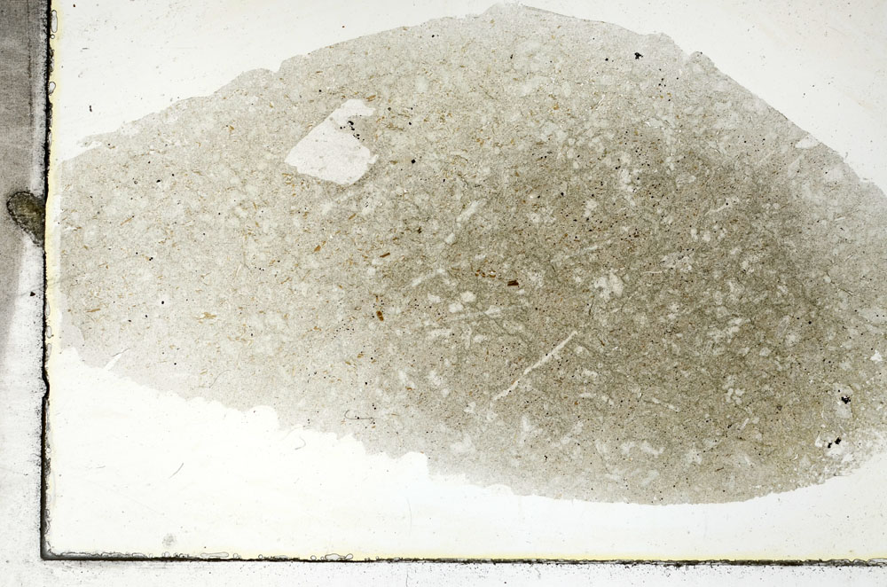 Plane Polarized, S88996
