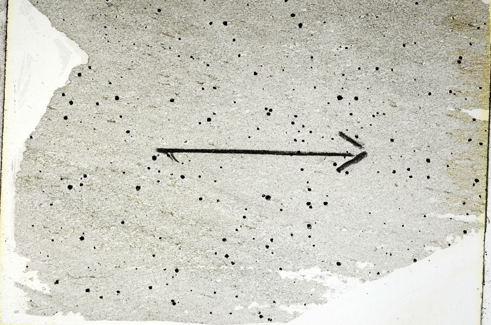Plane Polarized, S88999