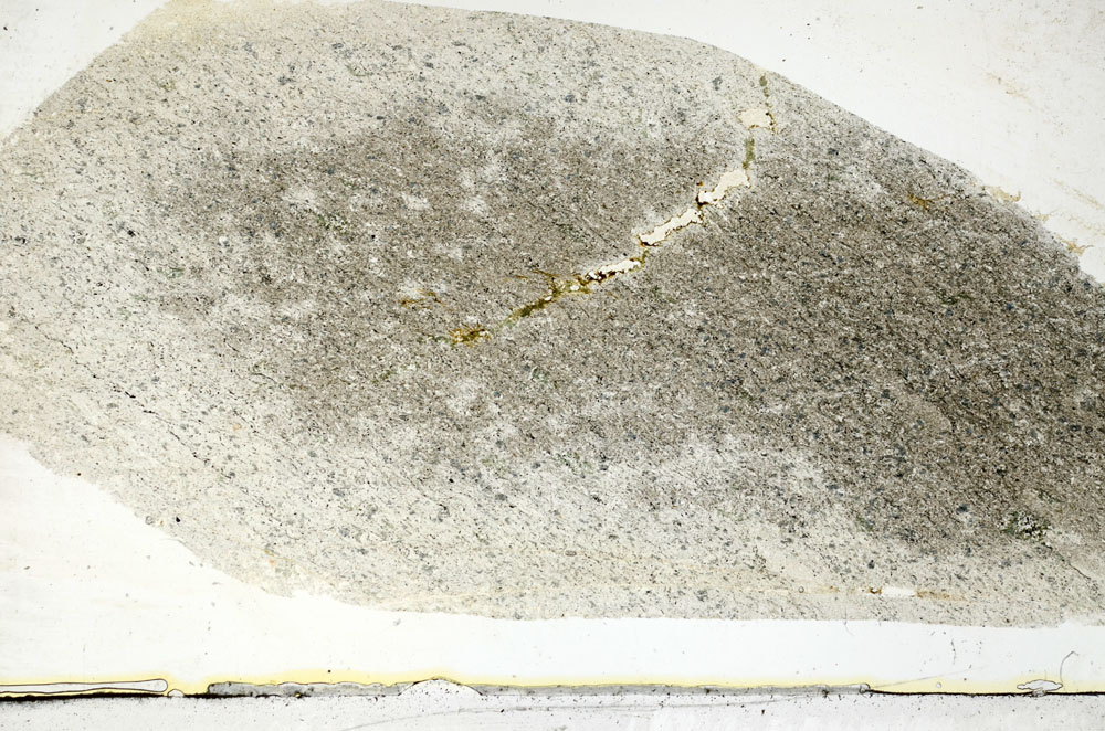 Plane Polarized, S89005