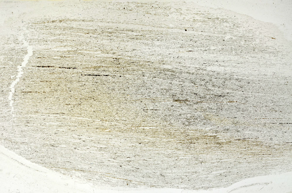 Plane Polarized, S89008