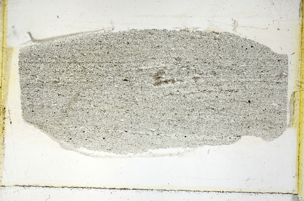 Plane Polarized, S89021