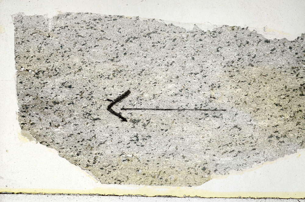 Plane Polarized, S89022