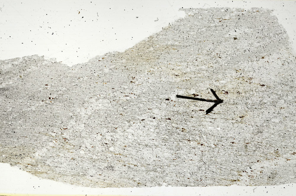 Plane Polarized, S89025