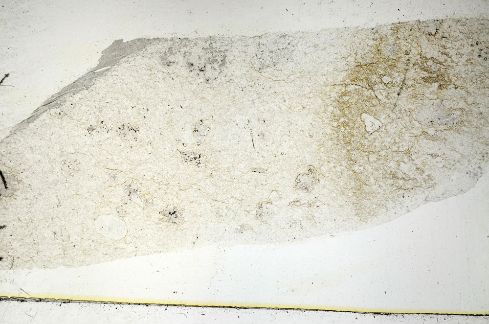 Plane Polarized, S89027