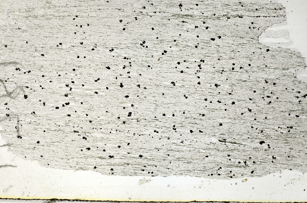 Plane Polarized, S89039