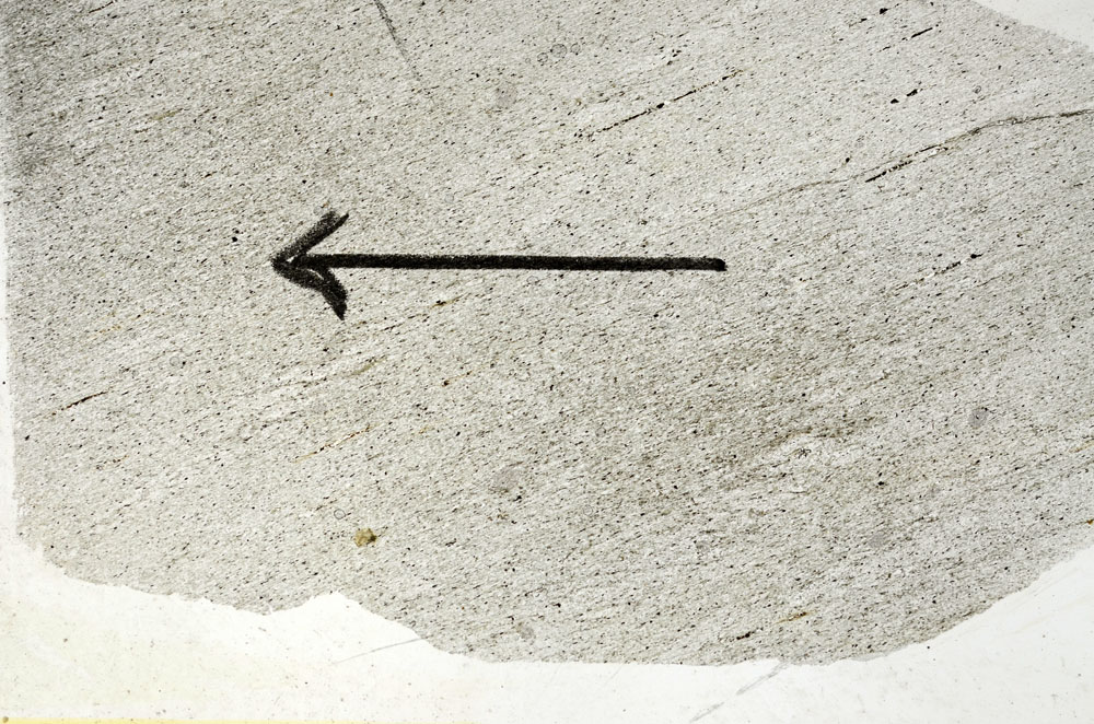 Plane Polarized, S89040