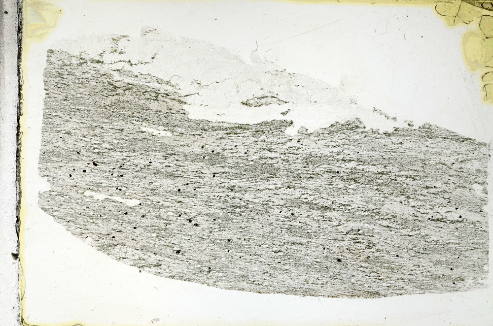 Plane Polarized, S89043