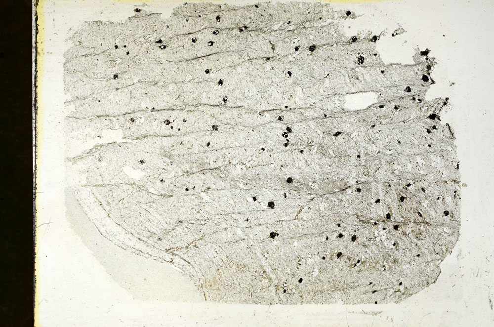 Plane Polarized, S89052