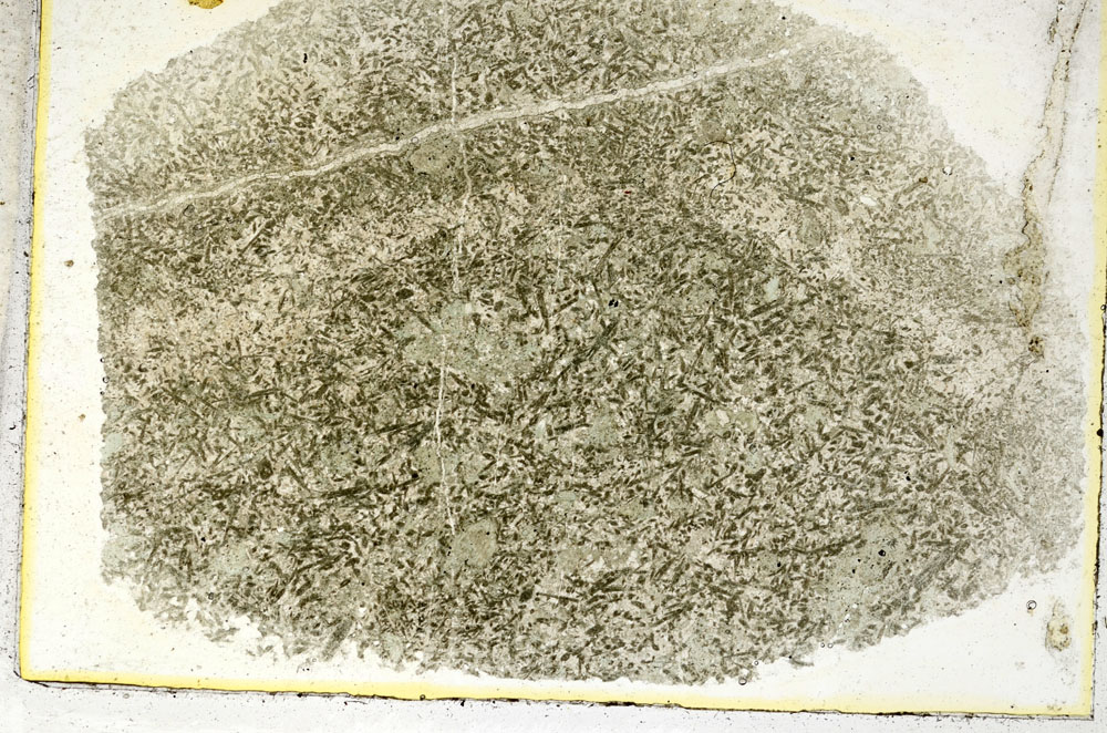 Plane Polarized, S89055