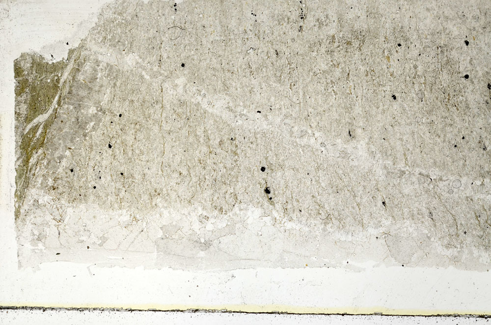 Plane Polarized, S89061