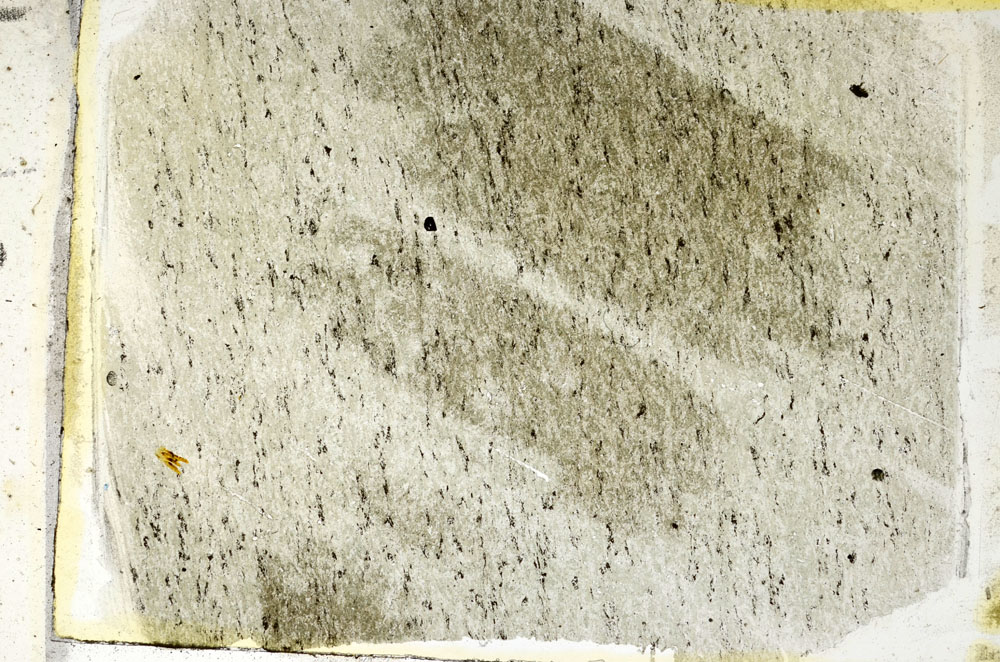 Plane Polarized, S89065
