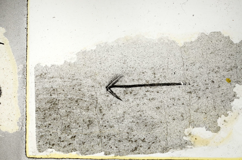 Plane Polarized, S89066