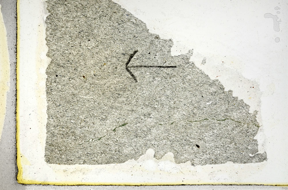 Plane Polarized, S89071