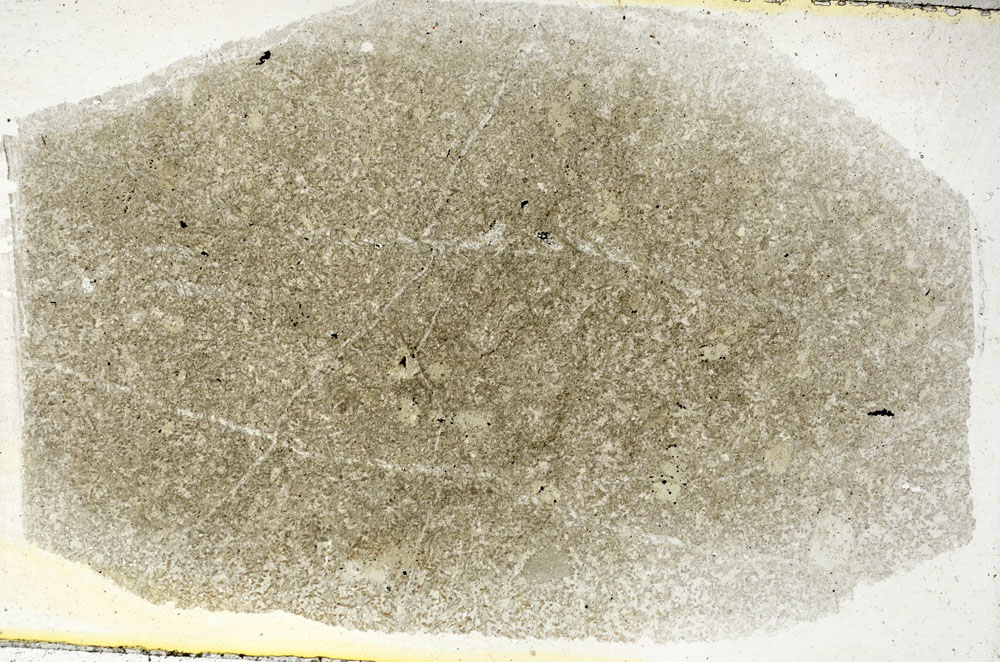 Plane Polarized, S89072