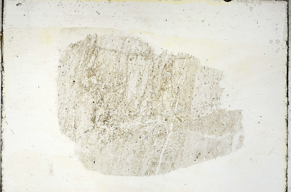 Plane Polarized, S89082