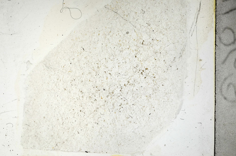 Plane Polarized, S89087